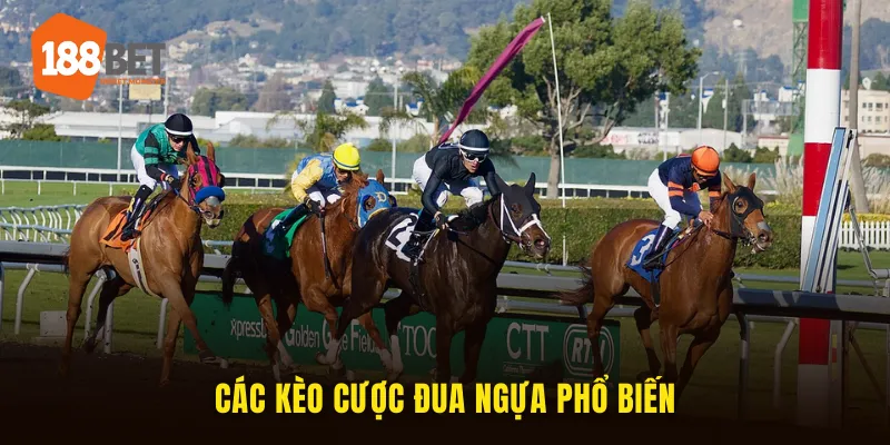 Mẹo Cược Đua Ngựa 188BET - Bí Quyết Làm Chủ Đường Đua 2025 3 Các kèo cược phổ biến