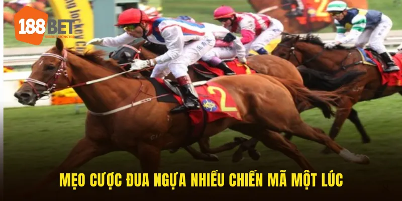 Mẹo Cược Đua Ngựa 188BET - Bí Quyết Làm Chủ Đường Đua 2025 4 Mẹo cược đua ngựa nhiều chiến mã một lúc